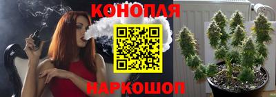 ПСИЛОЦИБИНОВЫЕ ГРИБЫ Камышлов