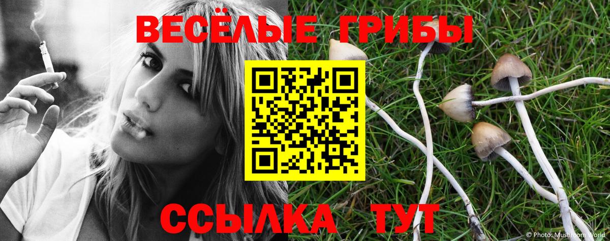 Псилоцибиновые грибы MAGIC MUSHROOMS  Вход с VPN  Югорск 
