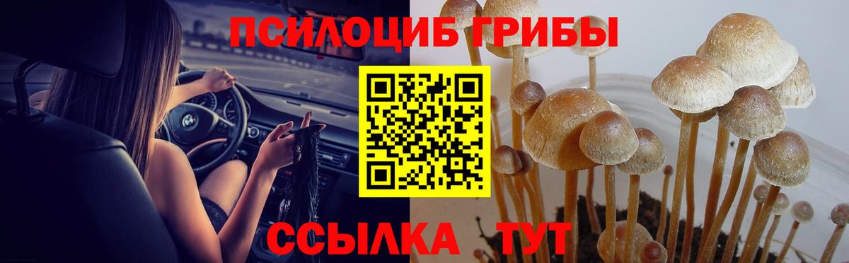 Галлюциногенные грибы MAGIC MUSHROOMS Югорск